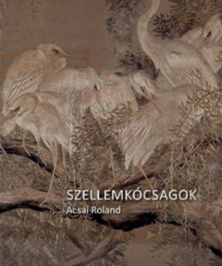 Alternative view of Szellemkócsagok