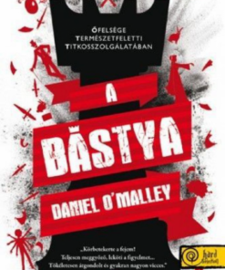 Alternative view of A bástya