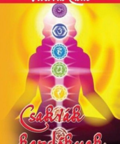 Alternative view of Csakrák kezdőknek