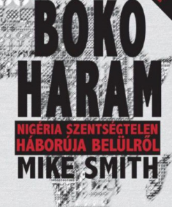 Alternative view of Boko Haram