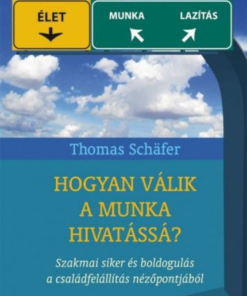 Alternative view of Hogyan válik a munka hivatássá?