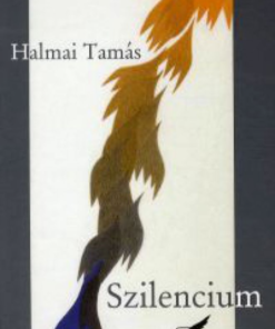 Alternative view of Szilencium