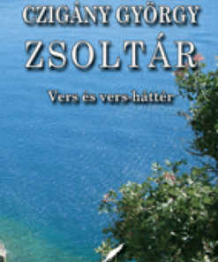 Alternative view of Zsoltár