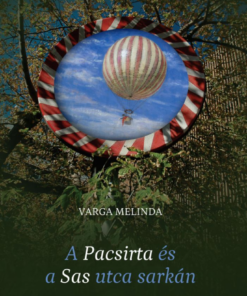 Alternative view of A Pacsirta és a Sas utca sarkán