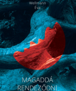 Alternative view of Magaddá rendeződni