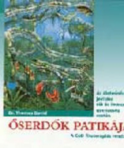 Alternative view of Őserdők patikája