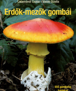 Alternative view of Erdők-mezők gombái - Javított utánnyomás