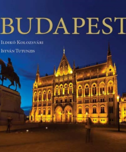 Alternative view of Budapest
