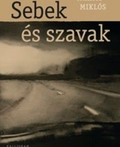 Alternative view of Sebek és szavak - Traumakultúra, traumairodalom