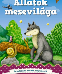 Alternative view of Erdély bűvöletében