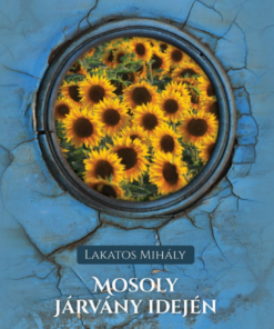 Alternative view of Mosoly járvány idején