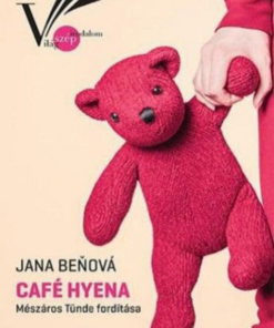 Alternative view of Café Hyena