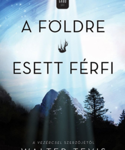 A Földre esett férfi