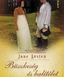 Alternative view of Büszkeség és balítélet