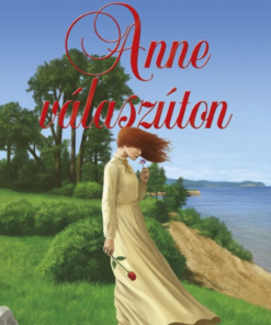 Alternative view of Anne válaszúton