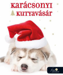 Alternative view of Karácsonyi kutyavásár