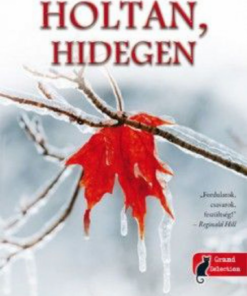 Alternative view of Holtan, hidegen