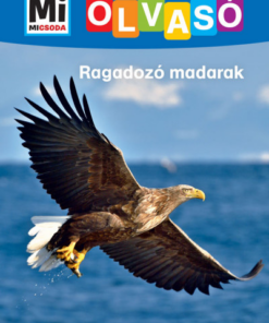 Ragadozó madarak - Mi Micsoda Olvasó