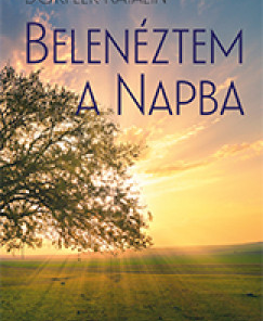 Belenéztem a Napba