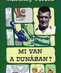 Alternative view of Mi van a Dunában?