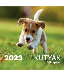 Kutyák falinaptár - 2023