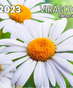 Virágok falinaptár - 2023