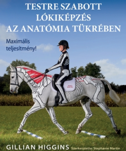 Testre szabott lókiképzés az anatómia tükrében