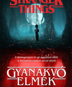 Alternative view of Stranger Things - Gyanakvó elmék