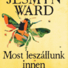 Most leszállunk innen