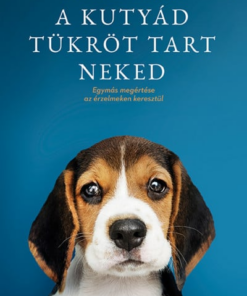 A kutyád tükröt tart neked