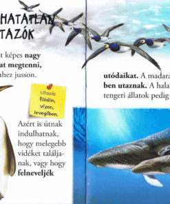 Alternative view of Olvass velünk! (1) - Vándorló állatok