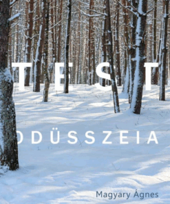 Testodüsszeia