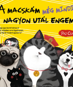 A macskám még mindig nagyon utál engem (Macska és Kutya 3.)