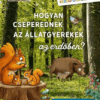 Hogyan cseperednek az állatgyerekek az erdőben?