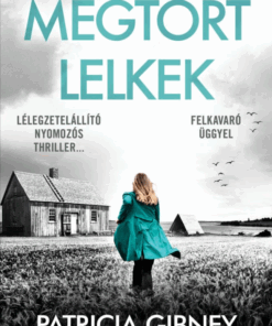 Megtört lelkek – Lottie Parker 7.