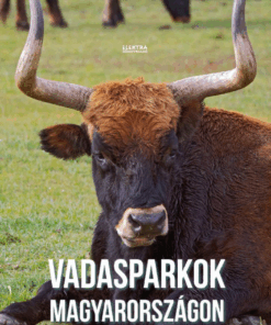 Vadasparkok Magyarországon
