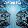 Testen innen, testen túl