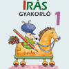 Írás gyakorló 1.osztály (MS-1661V)