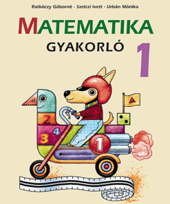 Matematika gyakorló 1. osztály (MS-1663U)