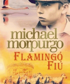 Alternative view of Flamingó fiú