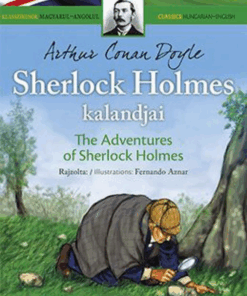Alternative view of Sherlock Holmes kalandjai