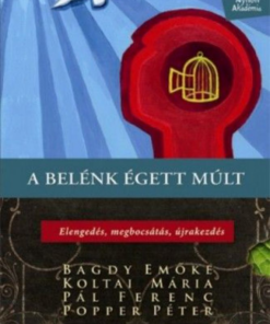 Alternative view of A belénk égett múlt