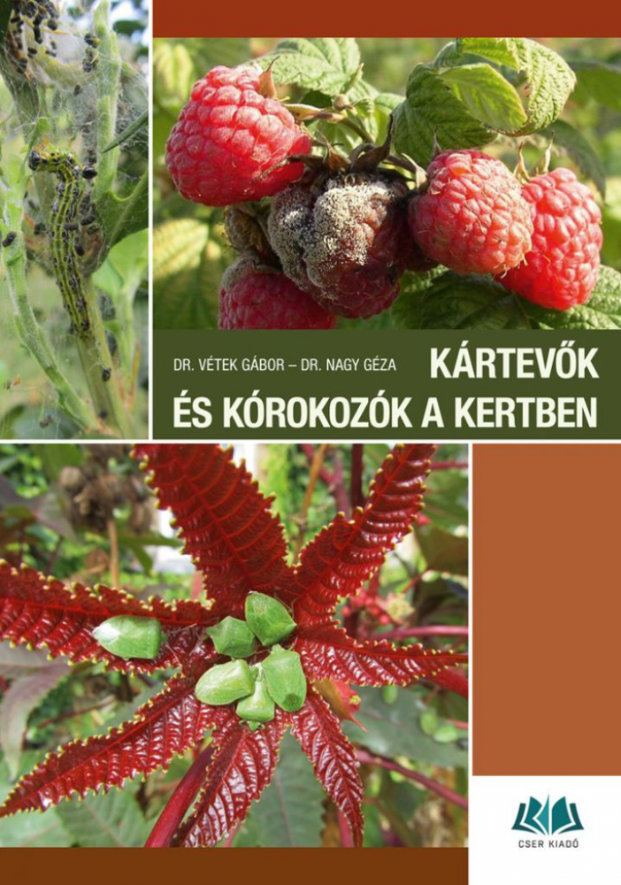 Kártevők és kórokozók a kertben - Károsítók azonosítása és a védekezés lehetőségei - Image 2