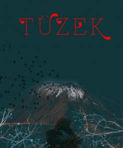 Tüzek