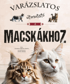 Varázslatos útmutató a macskákhoz