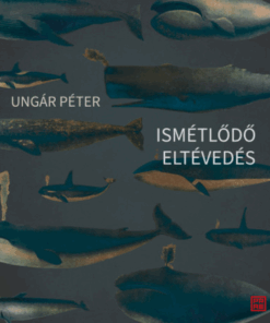 Ismétlődő eltévedés
