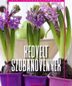 Kedvelt szobanövények