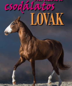 Óh, azok a csodálatos lovak