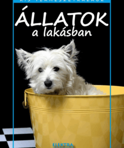 Állatok a lakásban