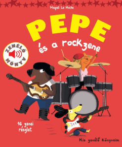 Alternative view of Pepe és a rockzene